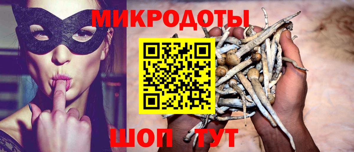 Алушта  Галлюциногенные грибы Magic Shrooms  даркнет сайт  Вход с VPN 